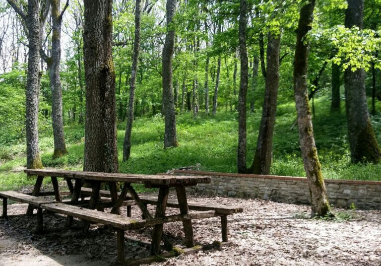 Area picnic nel bosco vicino a Faeto